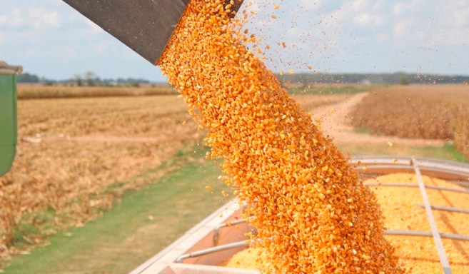 Báo cáo cung cầu WASDE tháng 4 và bức tranh Nông sản quý II năm 2025