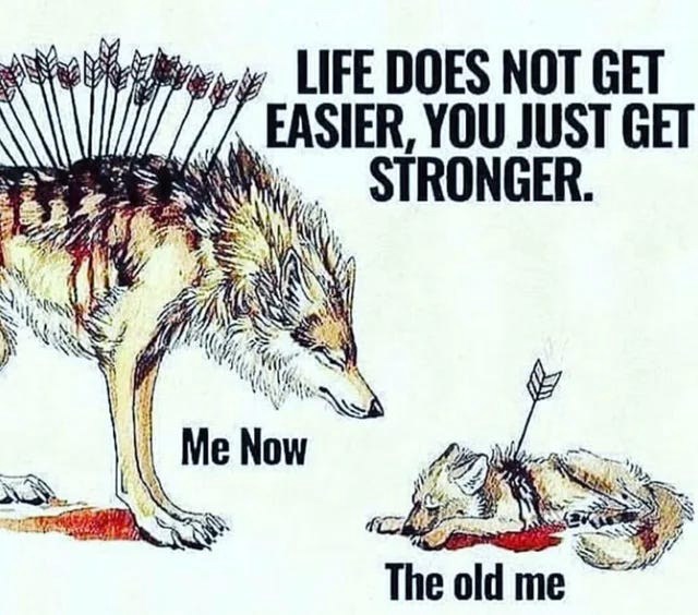 Tài Chính Tỉnh Thức: Hành Trình Học Hỏi, Trải Nghiệm và Chuyển Hóa. Có những nguyên tắc được sinh ra  ...