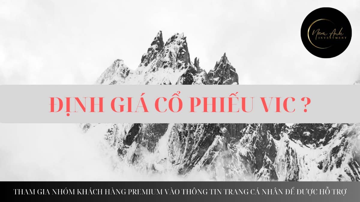 Định giá tiềm năng của VIC đến đâu?