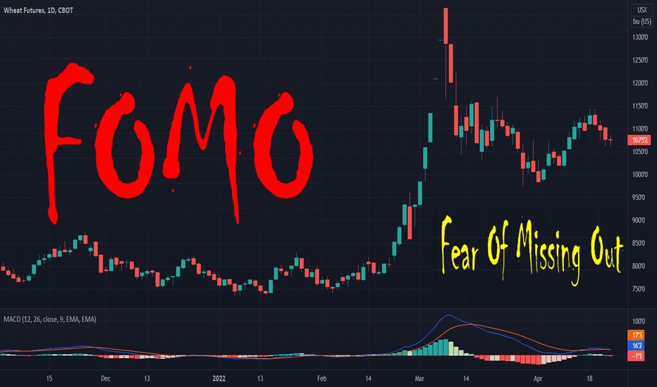 Đừng FOMO! Đây Là 5 Thời Điểm Cần Giữ Cái Đầu Lạnh Nhất Trên TTCK