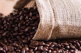 Cà phê nóng trở lại: Giá Arabica và Robusta bật tăng mạnh nhờ nguồn cung thắt chặt