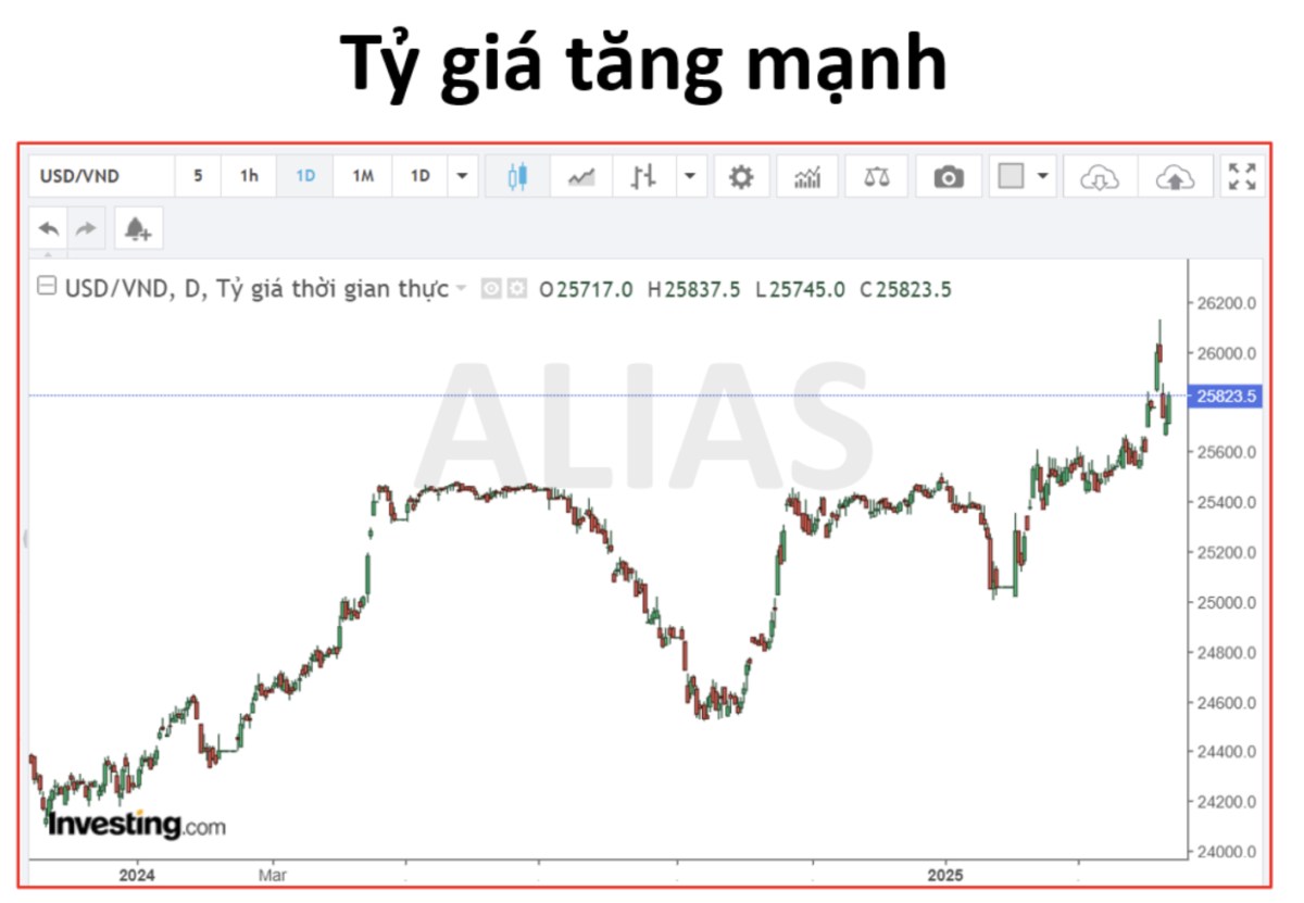 Sự thật đằng sau những phiên tăng trần VIC