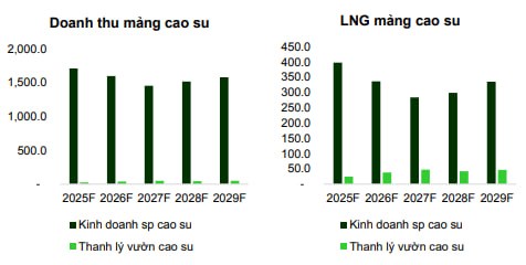 PHR 2025: Bức Tranh Tăng Trưởng Từ Cao Su Đến Khu Công Nghiệp