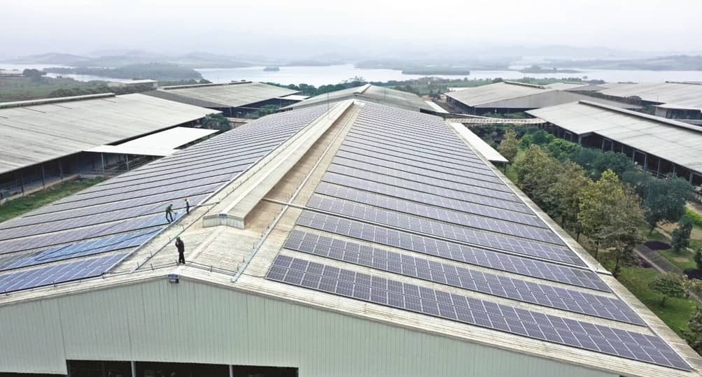 TH true MILK – Tiên phong chuyển đổi xanh, định hình tương lai ngành sữa Việt Nam