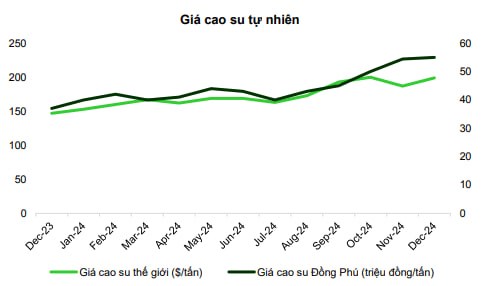 PHR 2025: Bức Tranh Tăng Trưởng Từ Cao Su Đến Khu Công Nghiệp