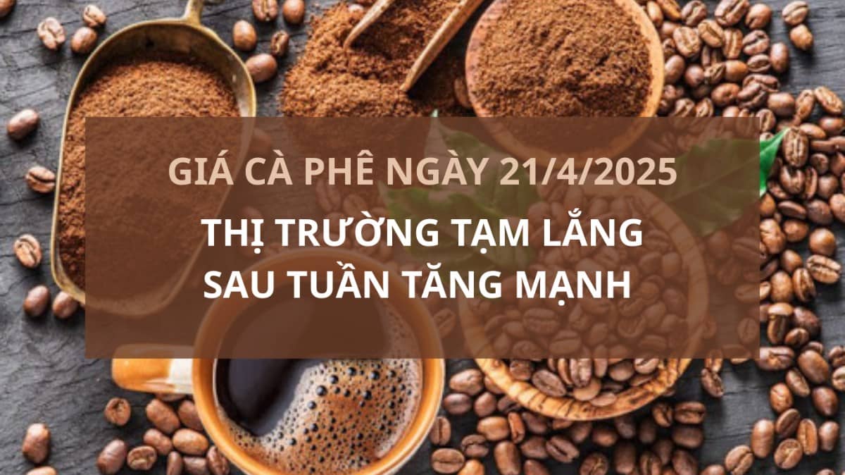 Giá cà phê ngày 21/4/2025: Thị trường tạm lắng sau tuần tăng mạnh – Cung cầu giằng co, rủi ro vẫn cao