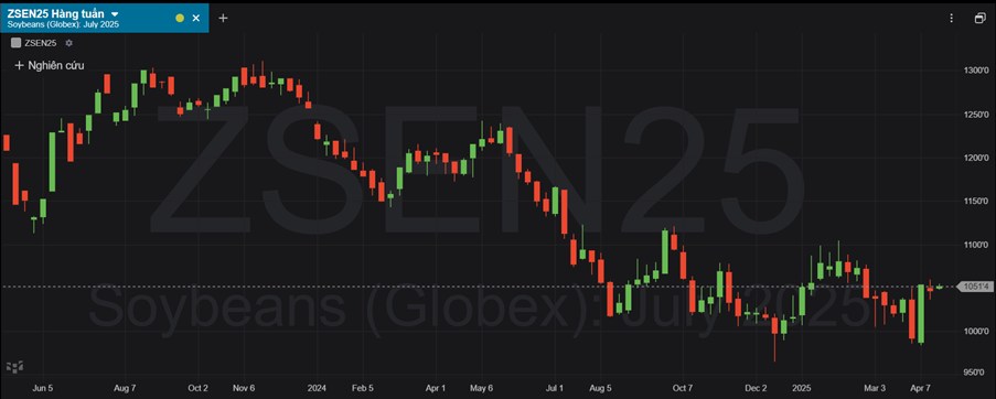 Lúa mì và đậu tương tăng nhẹ nhờ thời tiết khô hạn, ngô điều chỉnh do chốt lời