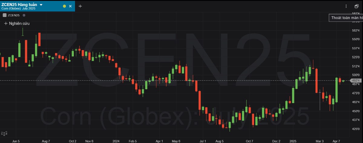 Lúa mì và đậu tương tăng nhẹ nhờ thời tiết khô hạn, ngô điều chỉnh do chốt lời