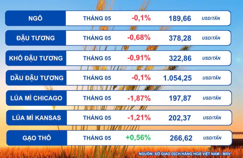 Giá đậu tương đóng cửa đảo chiều