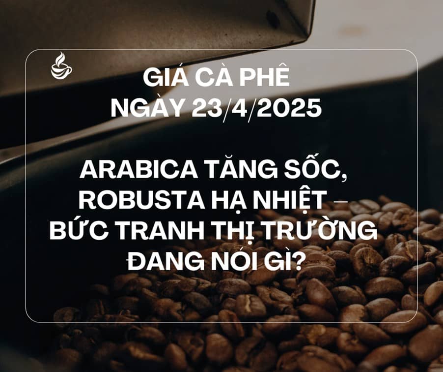 Giá cà phê 23/4: Arabica tăng sốc, Robusta hạ nhiệt – Bức tranh thị trường đang nói gì?