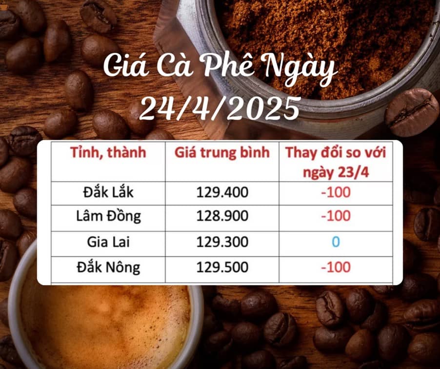 Diễn biến giá cà phê ngày 24/4/2025: Arabica tăng vọt, Robusta giảm nhẹ – thị trường căng thẳng vì Brazil