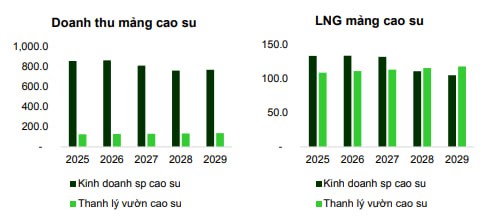 DPR – Lợi Thế Từ Đà Tăng Giá Cao Su Và Cơ Hội Từ Đất Đai