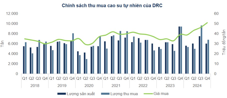 DRC – Giá cao su tăng làm ảnh hưởng tới biên lãi