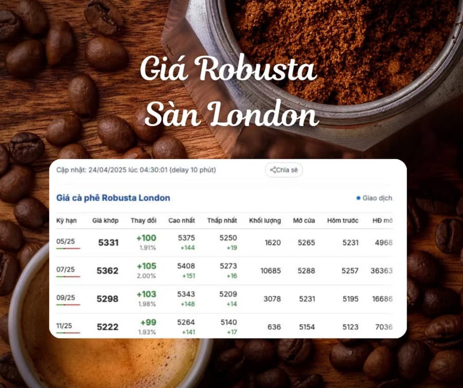 Diễn biến giá cà phê ngày 24/4/2025: Arabica tăng vọt, Robusta giảm nhẹ – thị trường căng thẳng vì Brazil
