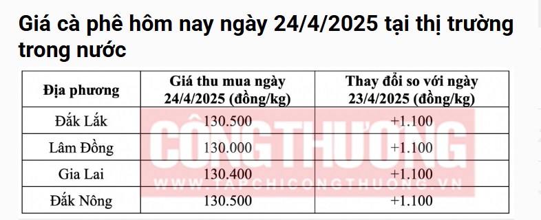 Thị Trường Cà Phê Quý II/2025: Điều Gì Đang Thúc Đẩy Biến Động Và Cơ Hội Giao Dịch Mới?