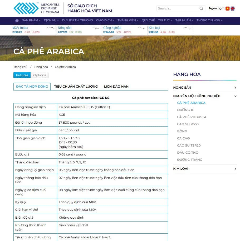 Thị Trường Cà Phê Quý II/2025: Điều Gì Đang Thúc Đẩy Biến Động Và Cơ Hội Giao Dịch Mới?