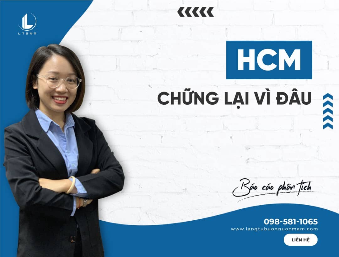 HCM: Chững lại vì đâu. HCM đã công bố bctc Q1 với kết quả khá khiêm tốn so với những kỳ vọng trước đó.  ...
