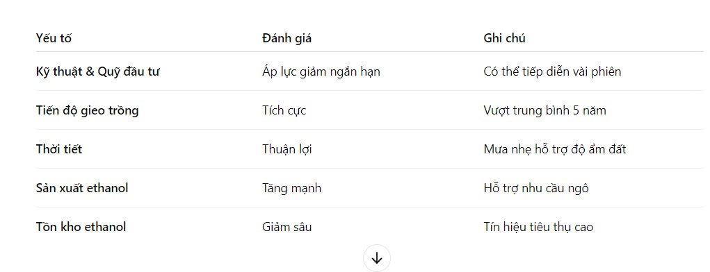 Giá ngô điều chỉnh nhẹ: Cơ hội vàng khi nhu cầu Ethanol tăng vọt và thời tiết ủng hộ