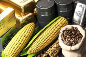 Giá ngô điều chỉnh nhẹ: Cơ hội vàng khi nhu cầu Ethanol tăng vọt và thời tiết ủng hộ