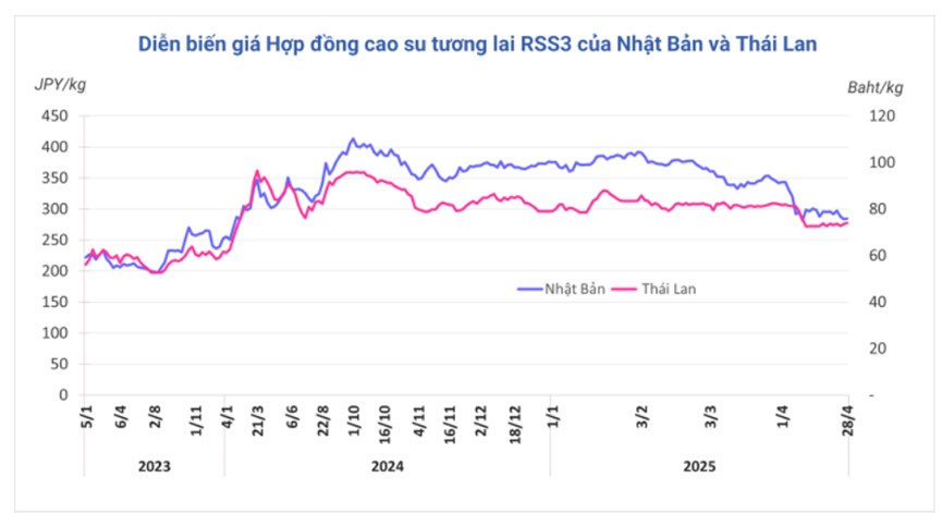 Thị trường cao su ngày 28/4/2025: Giá thế giới biến động trái chiều, trong nước duy trì ổn định