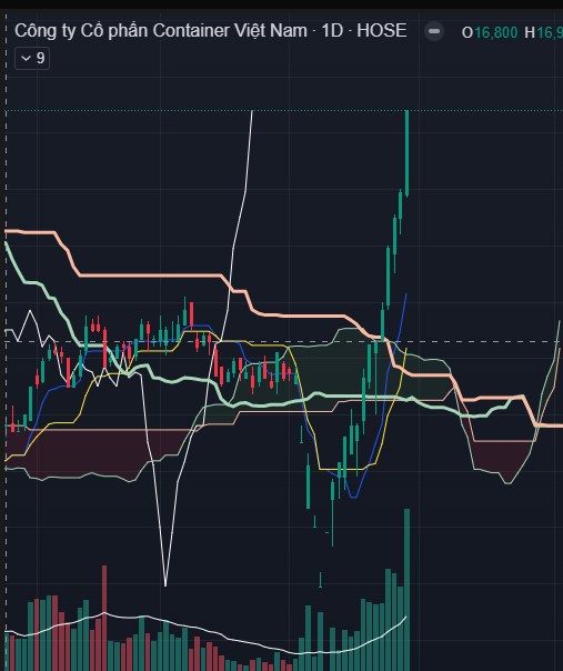 Vì sao cổ phiếu VSC tăng trần ngày 29/4/2025?