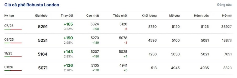 Giá cà phê ngày 5/5/2025: ổn định gần mốc 130.000 đồng/kg, tín hiệu tăng trở lại