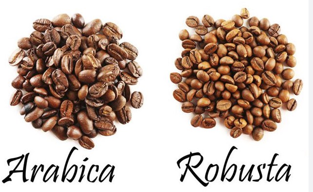 Sóng tăng giá cà phê chưa dừng: Robusta thiếu cung, Arabica nhạy cảm thời tiết. Trong những tuần gần ...