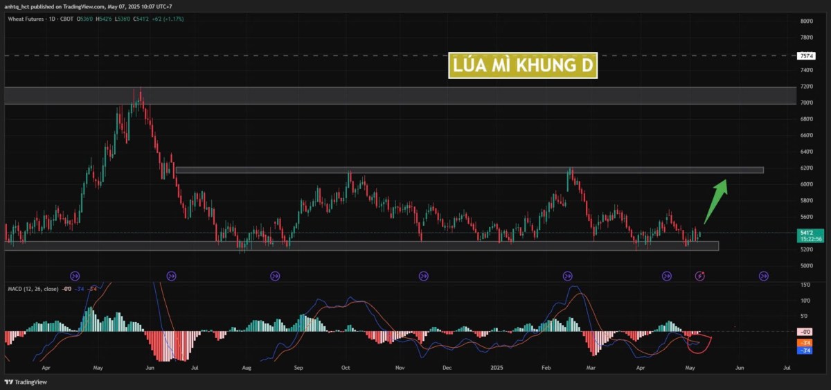 Lúa mì ZWAN25 – Cơ hội vàng đón sóng tăng trong bối cảnh chiến tranh thương mại hạ nhiệt