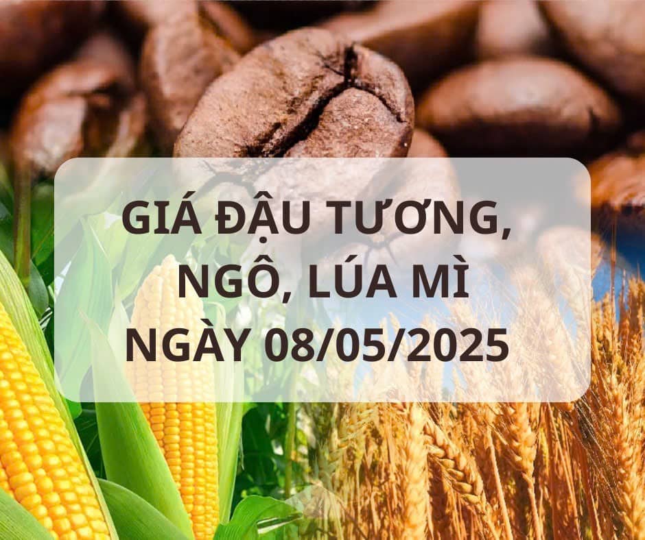 Giá Nông Sản Mỹ Giảm Nhẹ Dù Căng Thẳng Mỹ - Trung Có Dấu Hiệu Hạ Nhiệt