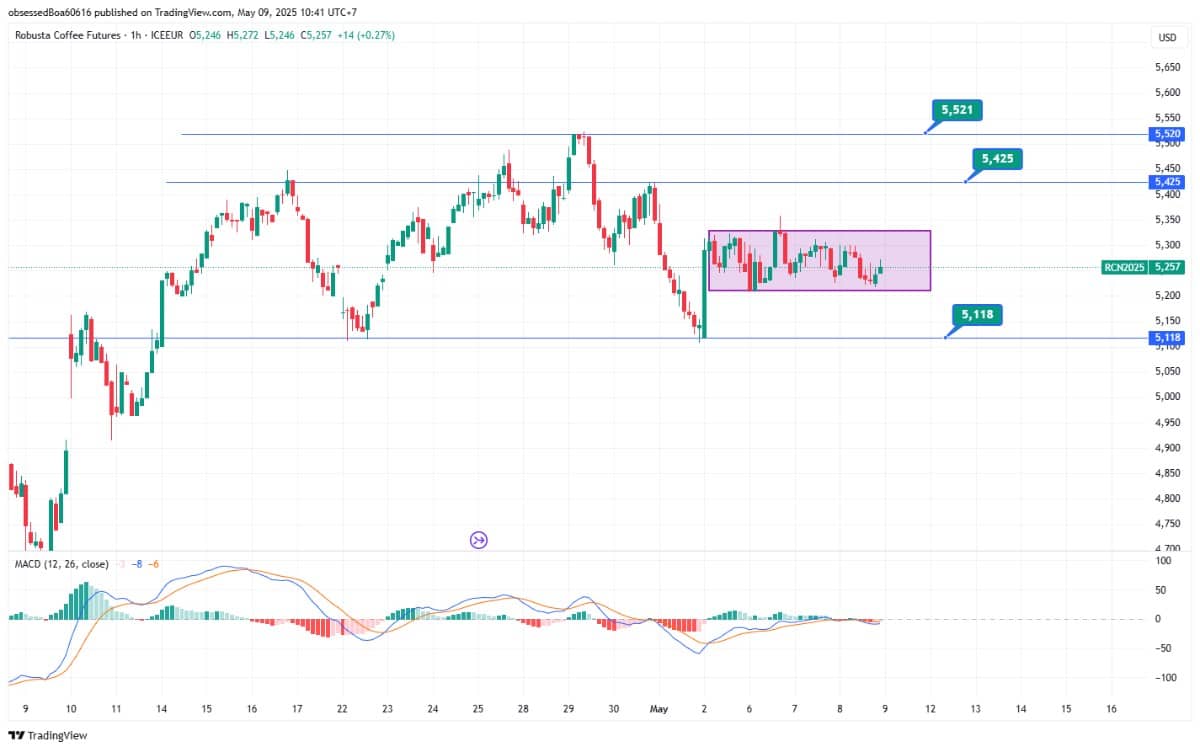 Phân tích giá cà phê Robusta ngày 09/05/2025: Tích lũy trong biên độ hẹp, rủi ro thiếu hụt cung tiềm ẩn