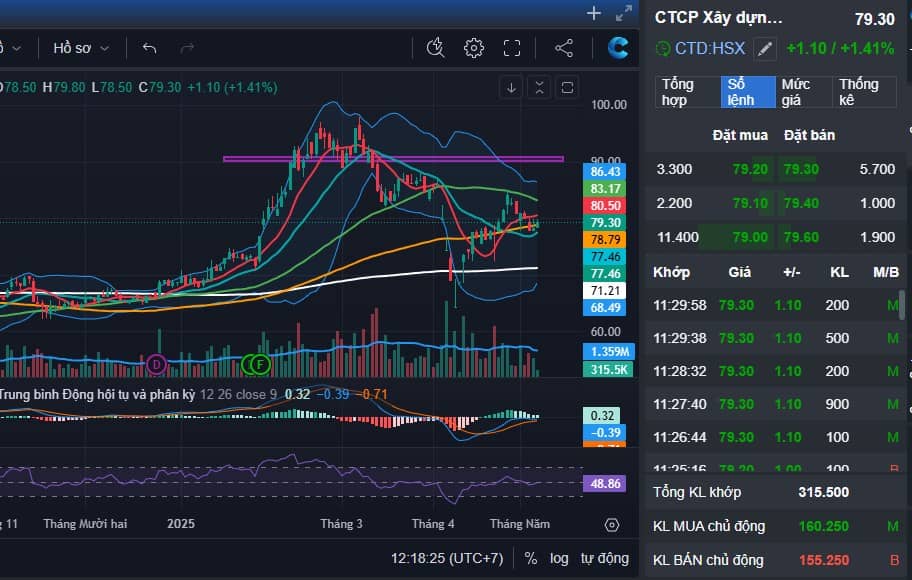 DXG - CMG - LPB tham chiến - Sóng phục hồi cho các cổ giảm mạnh giai đoạn trước