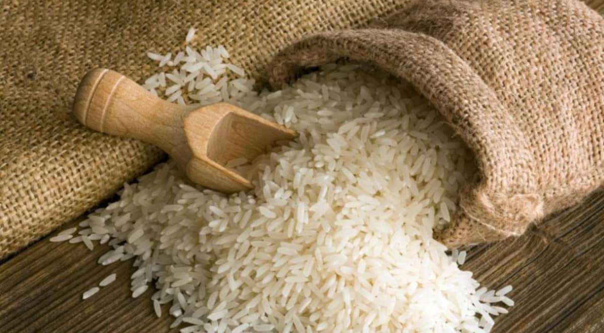 Giá gạo toàn cầu chạm đáy: Cơ hội cho người mua, thách thức với nhà xuất khẩu