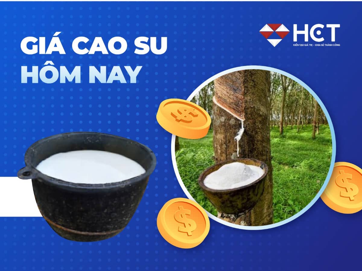 Thị trường cao su tăng nhiệt ngày 15/5/2025: Tín hiệu từ kinh tế lớn, dầu mỏ và nguồn cung