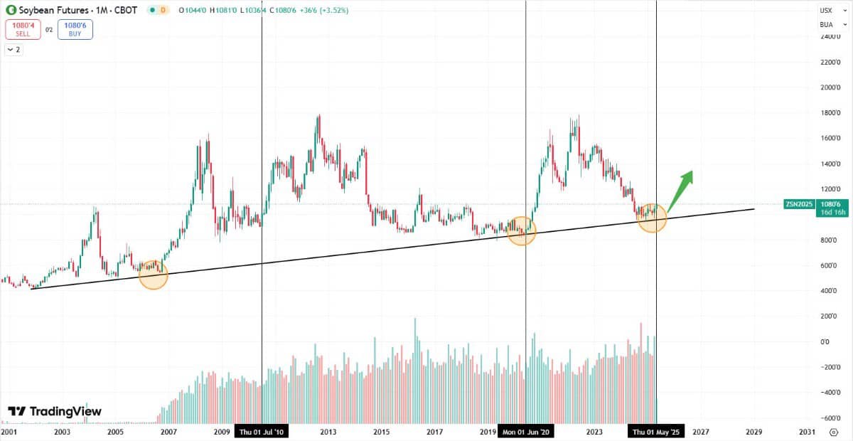 Thời điểm vàng để đầu tư đậu tương với mức giá thấp nhất trong 5 năm
