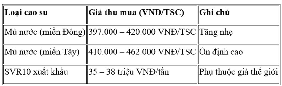 Thị trường cao su tăng nhiệt ngày 15/5/2025: Tín hiệu từ kinh tế lớn, dầu mỏ và nguồn cung