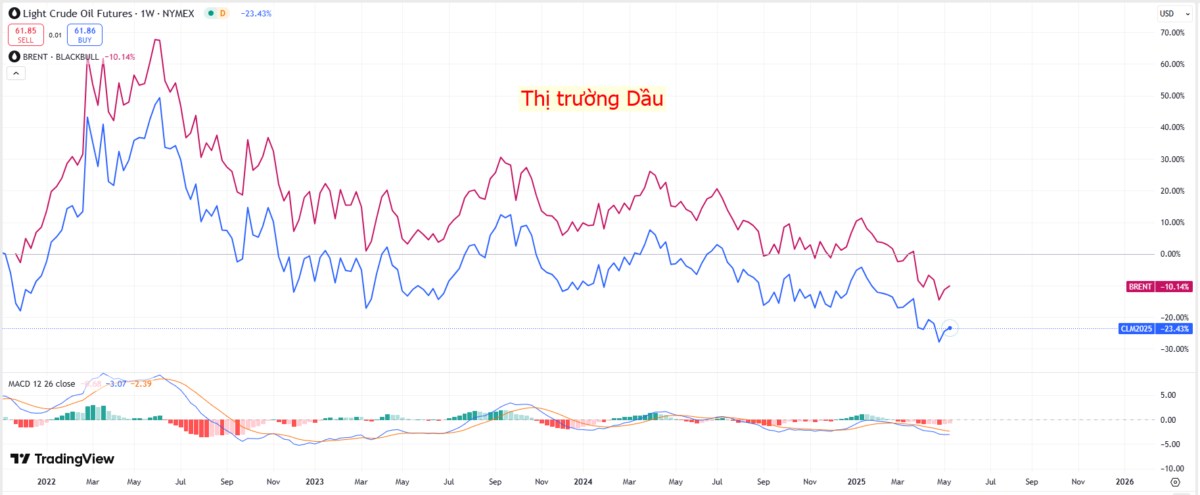 Thị trường dầu thô quý II/2025: Cơ hội hay bẫy giá?