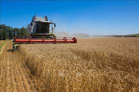 EU “ra đòn mạnh” với Ukraine: Chuẩn bị đánh thuế nông sản, chấm dứt ưu đãi thương mại
