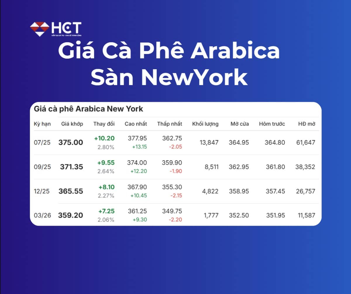Giá Cà Phê Ngày 16/5/2025: Arabica Tăng Mạnh – Robusta Chìm Sâu, Vì Đâu Nên Nỗi?
