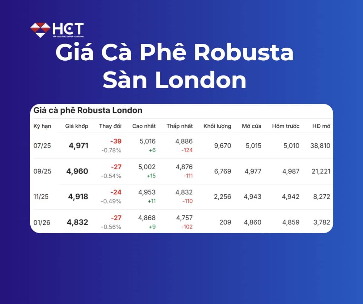 Giá Cà Phê Ngày 16/5/2025: Arabica Tăng Mạnh – Robusta Chìm Sâu, Vì Đâu Nên Nỗi?