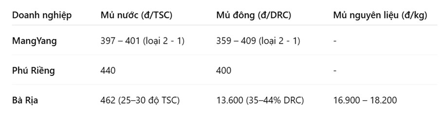 Giá cao su ngày 17/5: Hạ nhiệt nhẹ sau chuỗi tăng – Thị trường giữ vững kỳ vọng phục hồi