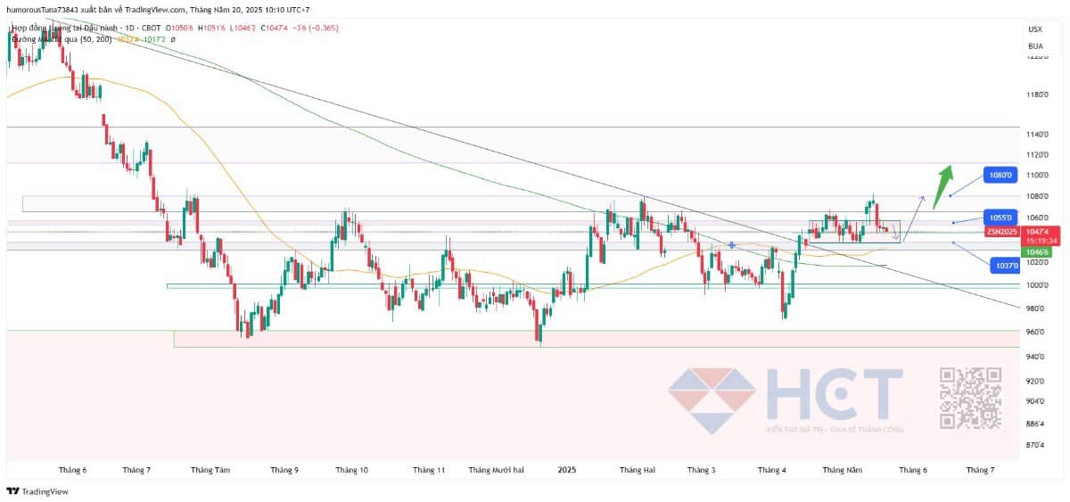 Đậu tương - Cơ hội cho nhà đầu tư biết nắm bắt