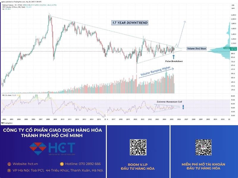 Trong thực tế, bạch kim được ứng dụng nổi bật trong công nghiệp ô tô, đặc biệt là sản xuất bộ chuyển  ...