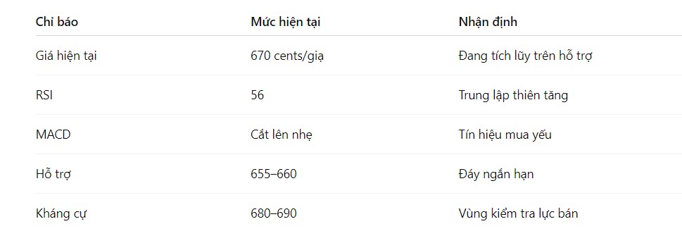 Lúa Mì Trước Ngưỡng Đột Phá: Kịch Bản Giá Tăng Với 3 Lực Đẩy Tiềm Năng
