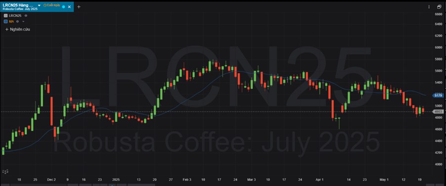 Giá Cà Phê Ngày 21/05/2025: Arabica Rung Lắc Mạnh – Robusta Giữ Đáy – Tâm Lý Thị Trường Phân Hóa Rõ Rệt