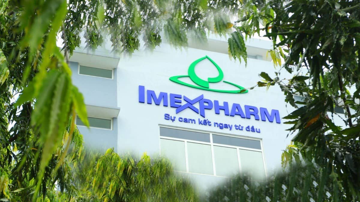 IMP – Tiềm năng tăng trưởng bền vững trong năm 2025