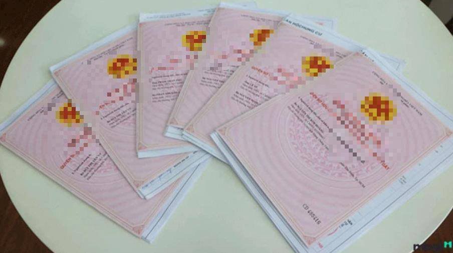 Hậu quả của việc đi mua đất mà không đo đạc