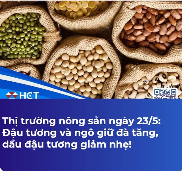 Thị trường nông sản ngày 23/5: Đậu tương và ngô giữ đà tăng, dầu đậu tương giảm nhẹ!