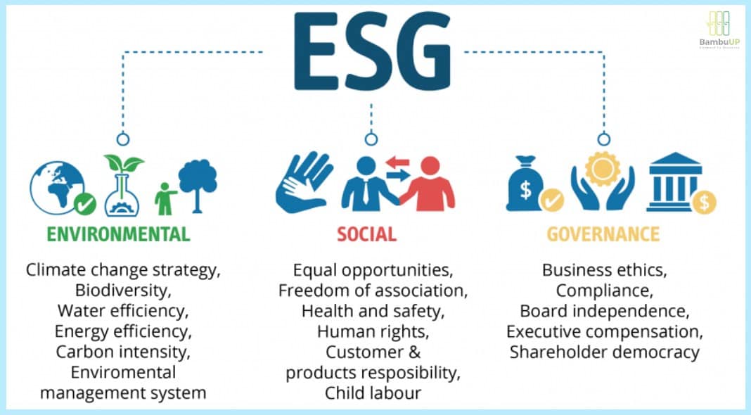 ESG Là Gì? Vì Sao Doanh Nghiệp Nên Đầu Tư vào ESG?. ESG đang trở thành tiêu chuẩn không thể thiếu để  ...