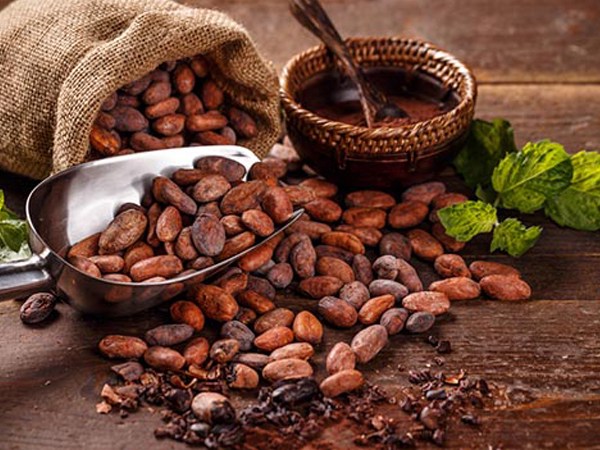 Thị Trường Nguyên Liệu Công Nghiệp Biến Động Mạnh: Ca Cao và Đường Trước Cơn Sóng Gió