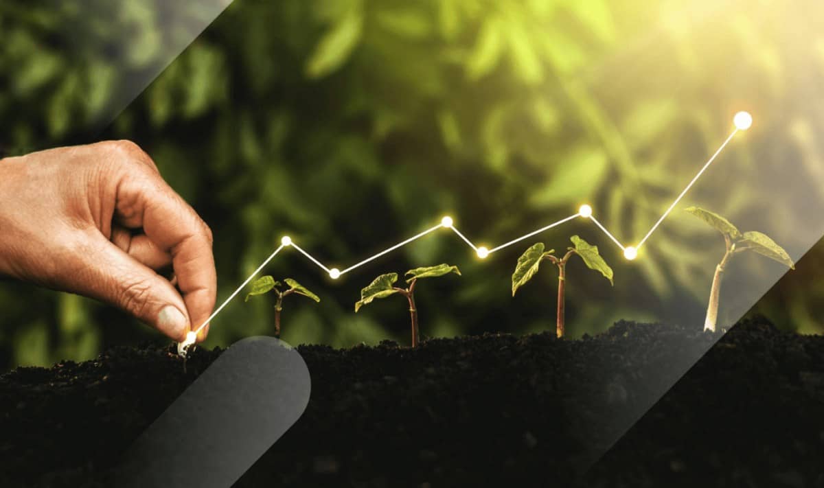 ESG Là Gì? Vì Sao Doanh Nghiệp Nên Đầu Tư vào ESG?. ESG đang trở thành tiêu chuẩn không thể thiếu để  ...